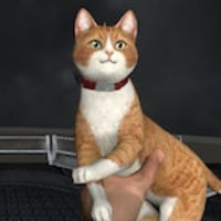 貓貓槍