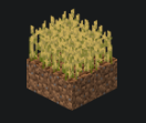 Expansion