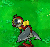 DolphinDiving