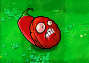 HotNut