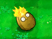 TorchNut