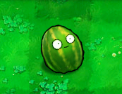WatermelonNuts