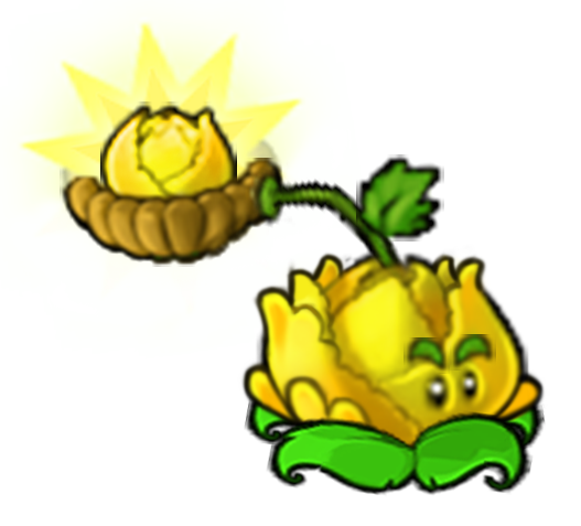 Spawn Sun Cabbage
