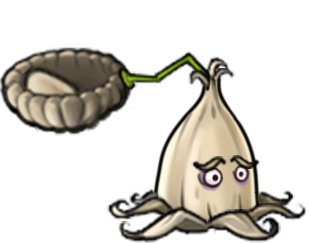 Spawn Garlic Corn
