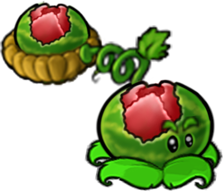 Spawn Cabbage Melon