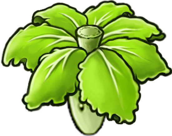 Spawn Cabbage Umbrella