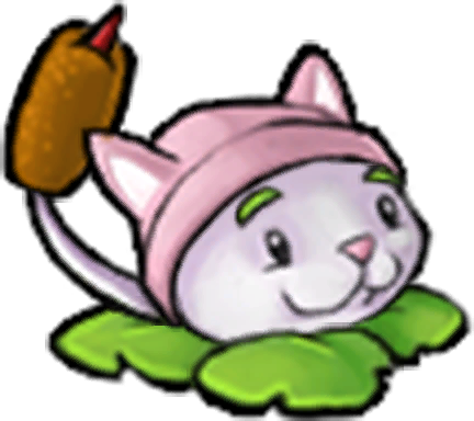 Spawn Cattail Plant