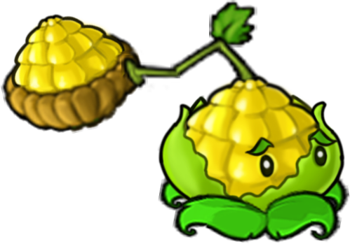 Spawn Corn Cabbage