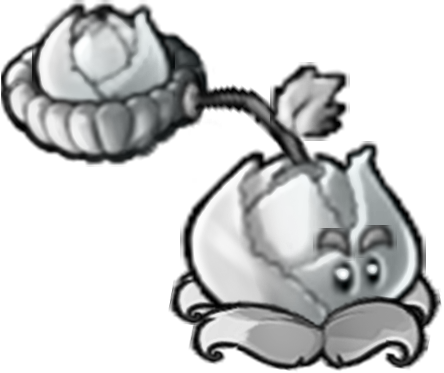 Spawn Silver Cabbage