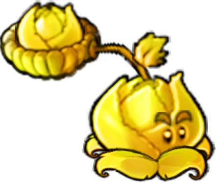 Spawn Gold Cabbage