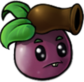 Spawn Passion Fruit