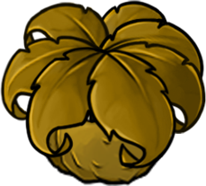 Spawn Nut Umbrella