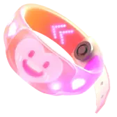 Team Bracelet