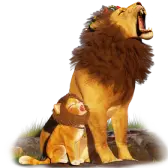 Leon and Lion